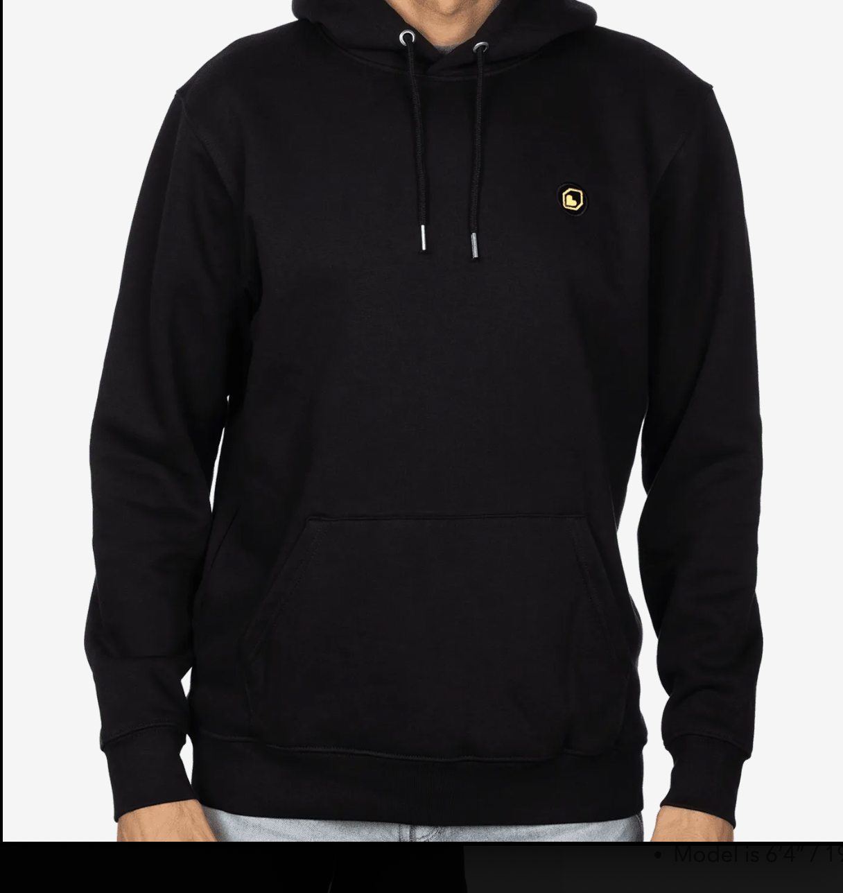 ICON HOODIE