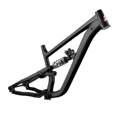 ZINK BIKE VACAY MTB FRAME