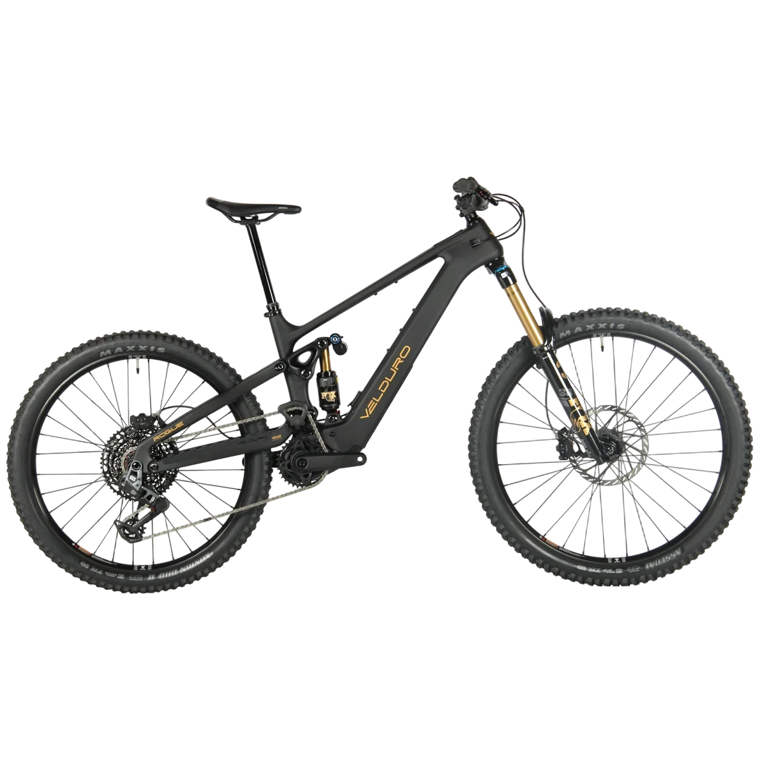 ROGUE R
