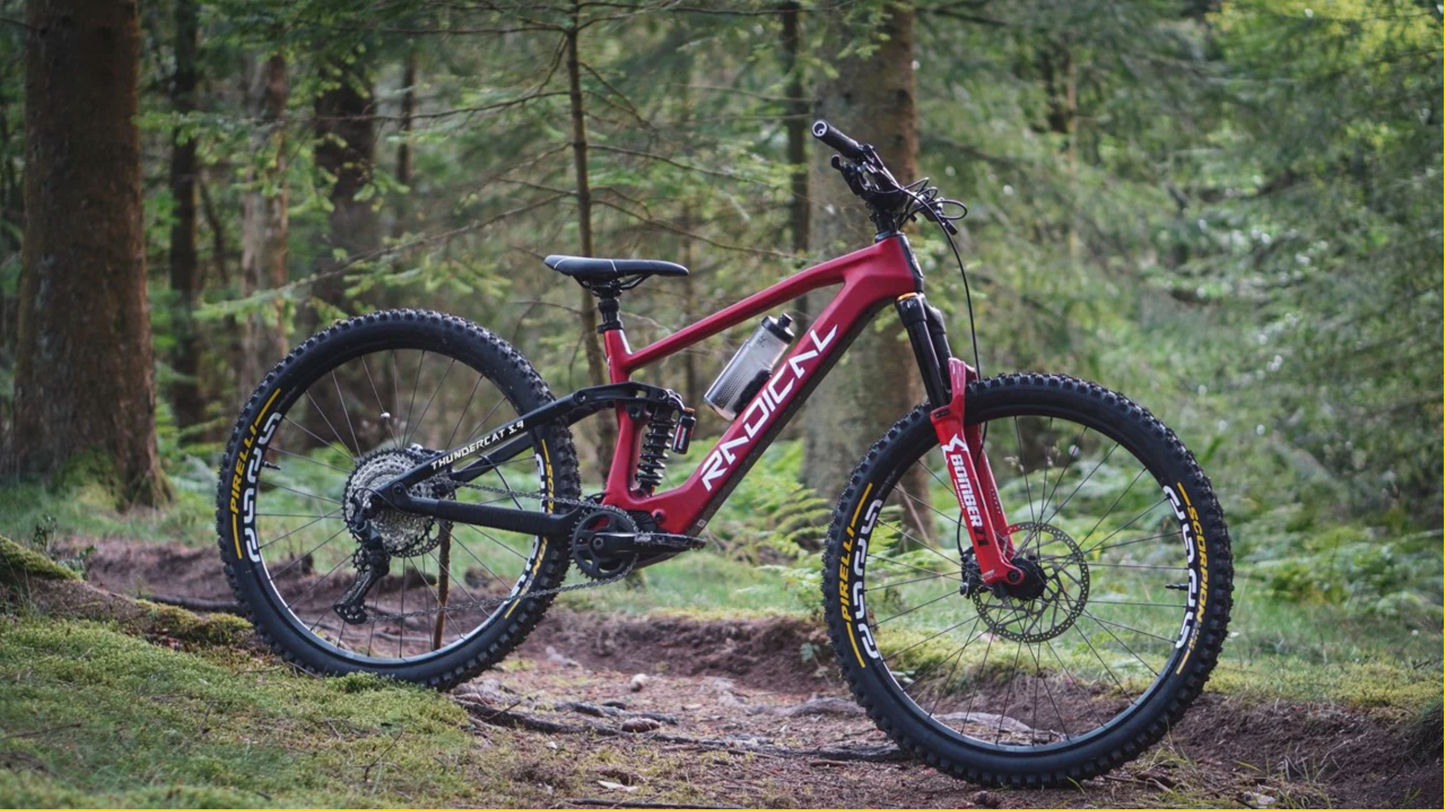 Thundercat 5.9 (E-Bike) - Enduro - Frame/Motor/Battery Only